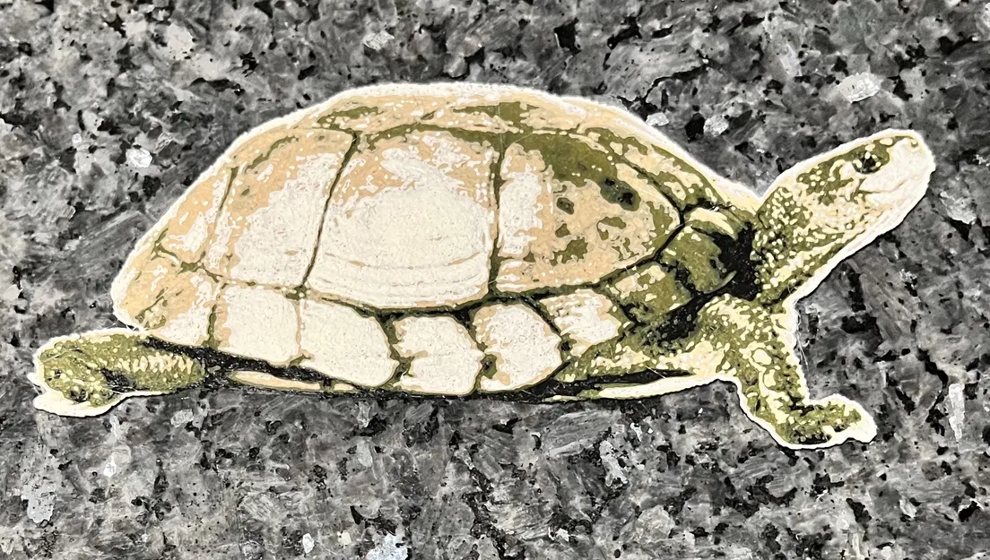 Rùa Hueforge - Image 3