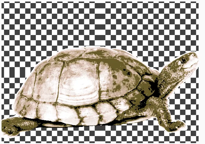 Rùa Hueforge - Image 4