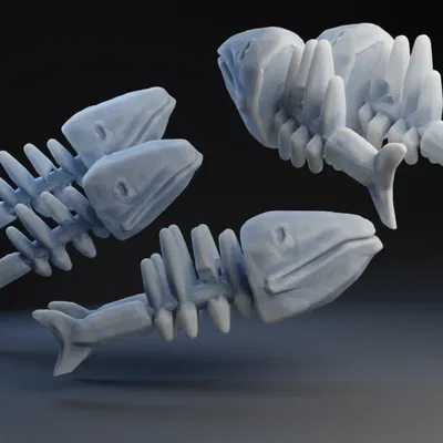 Hai con cá chết - người tổ chức dây.