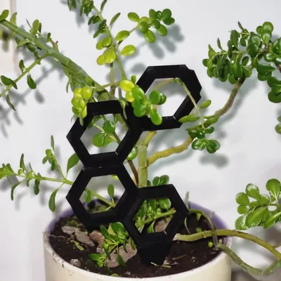 Hexagrowth: Người leo cây mô -đun tương lai