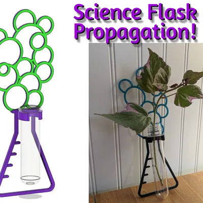 Truyền bình bong bóng