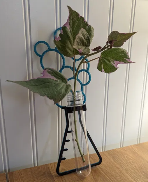 Truyền bình bong bóng - Image 2