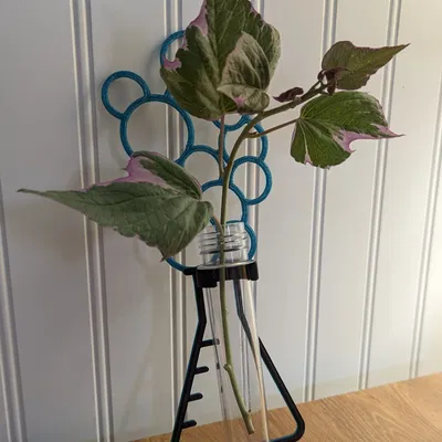 Truyền bình bong bóng