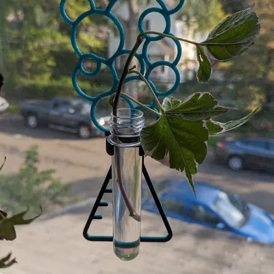 Truyền bình bong bóng