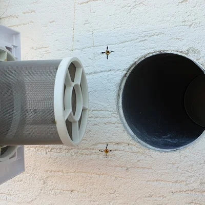 Bộ lọc lưới cho ống chiết Ø 127 mm (5 ")