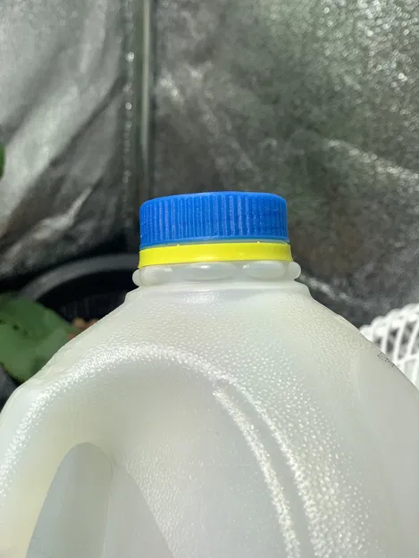 Một chiếc bình sữa gallon - có gân và phiên bản mịn - Image 1