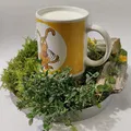 Eco Cup Coaster - Thumbnail 1