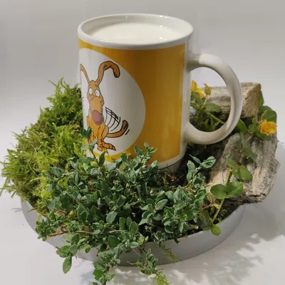 Eco Cup Coaster