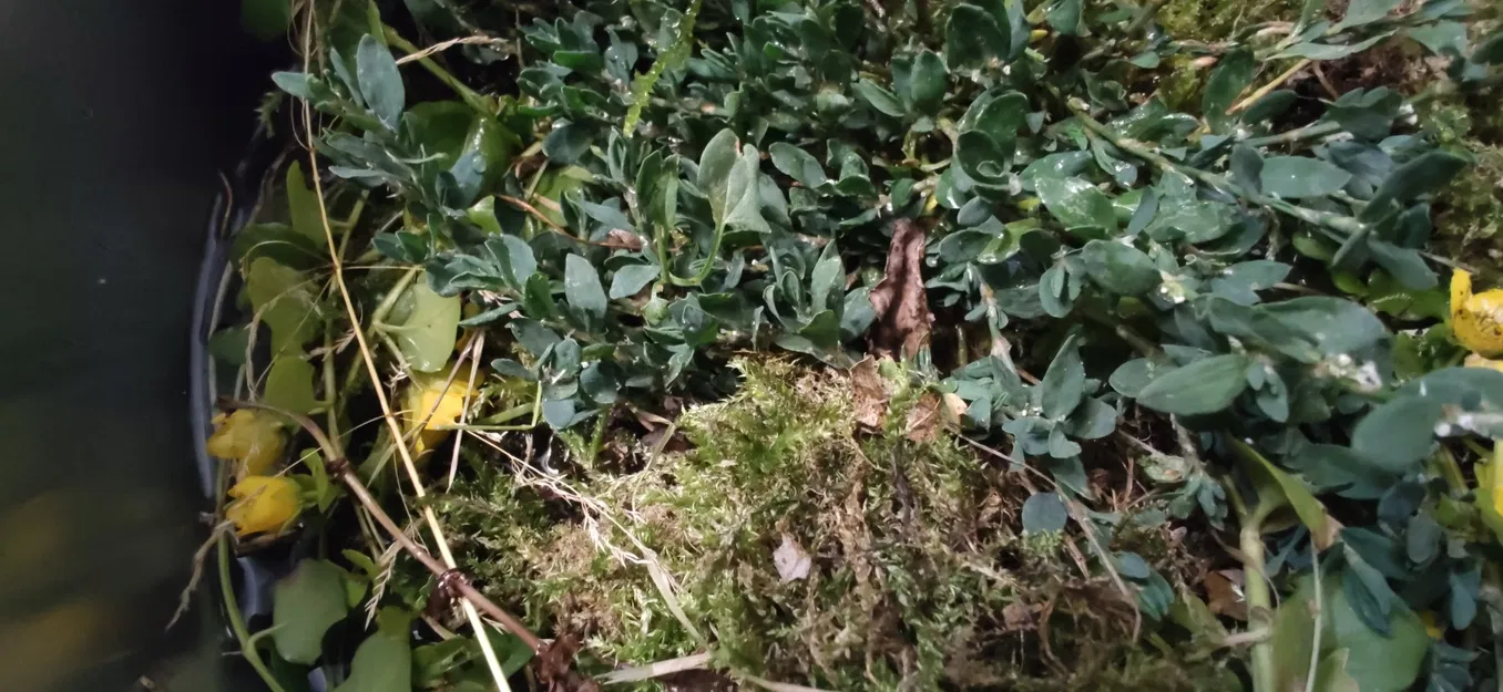 Eco Cup Coaster - Image 7