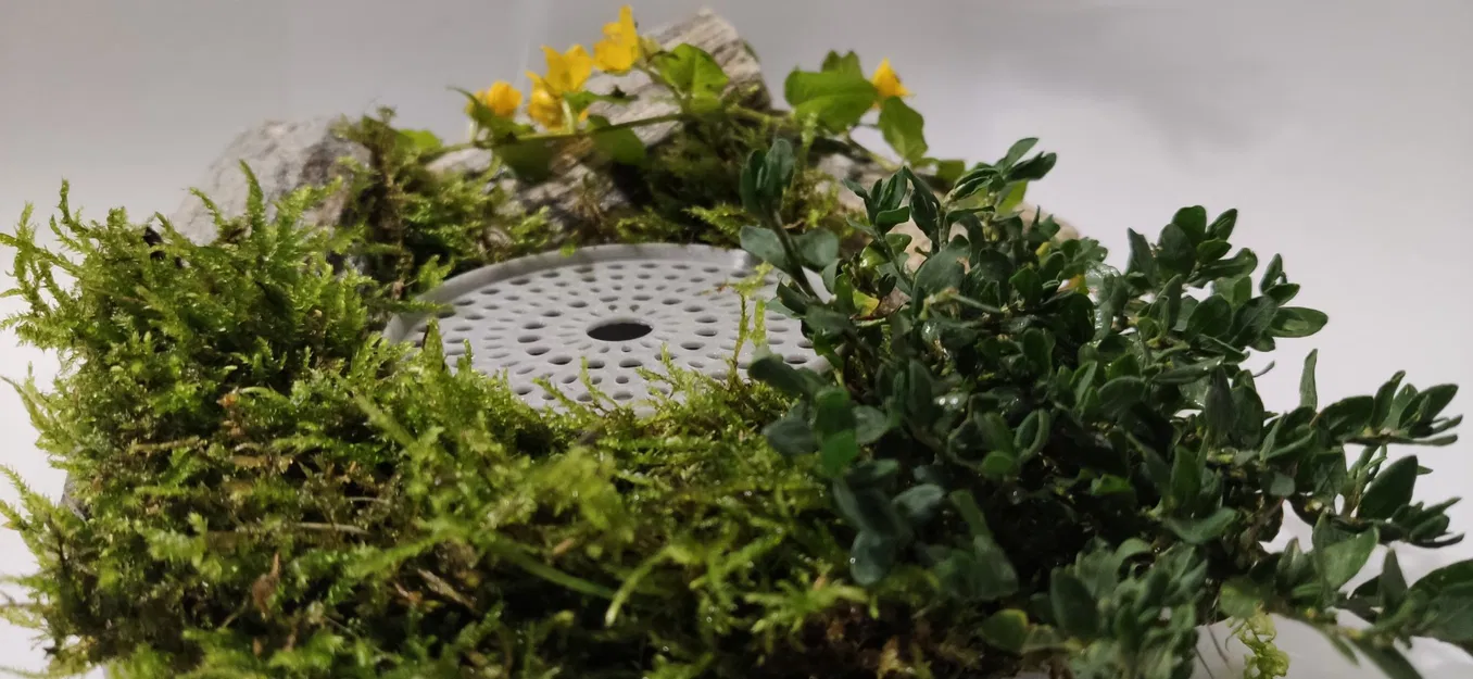 Eco Cup Coaster - Image 9