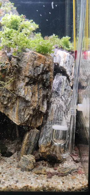 CO2 Moonshining - Image 4