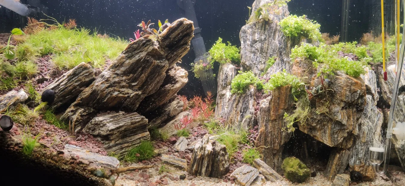 CO2 Moonshining - Image 5