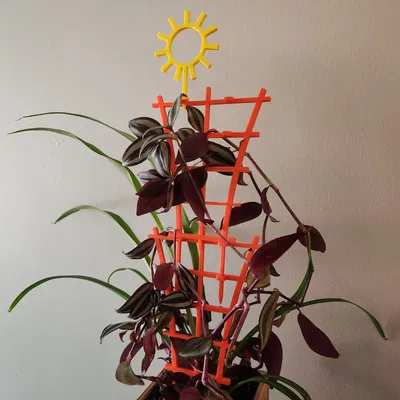 Xếp chồng Trellis với trang trí mặt trời