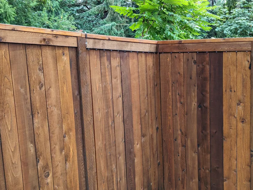 Theo dõi Evo Pixel - Image 2