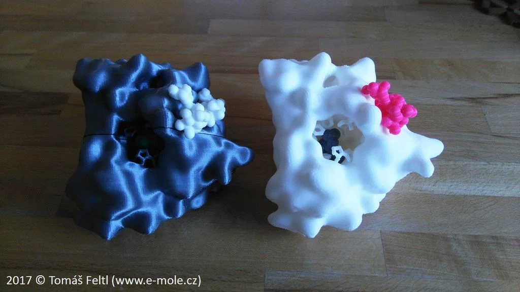 Khoa học vui nhộn: Protein liên kết phụ trợ - Image 6