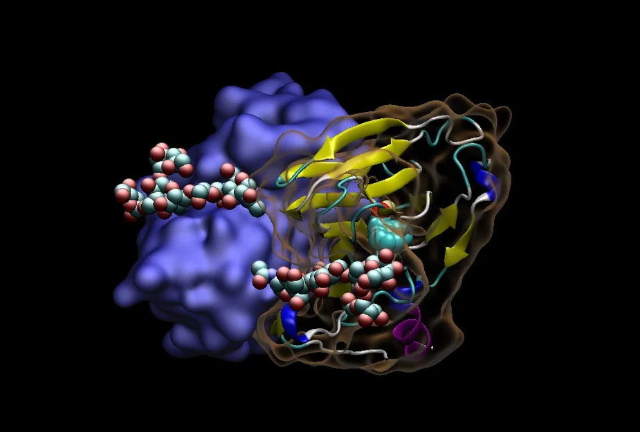 Khoa học vui nhộn: Protein liên kết phụ trợ - Image 7