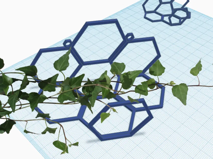 Ivy, Devils Ivy, Devils Vine Wall Holder - Hình lục giác - Image 1