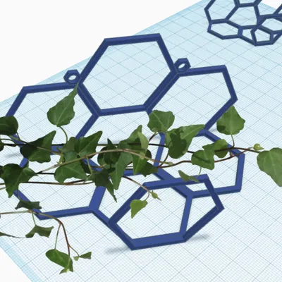 Ivy, Devils Ivy, Devils Vine Wall Holder - Hình lục giác