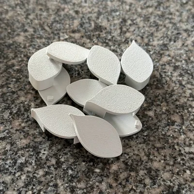Clip hướng dẫn thực vật