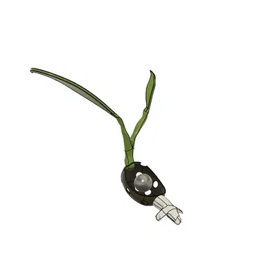 Làm nảy mầm hạt giống hạt giống và hỗ trợ