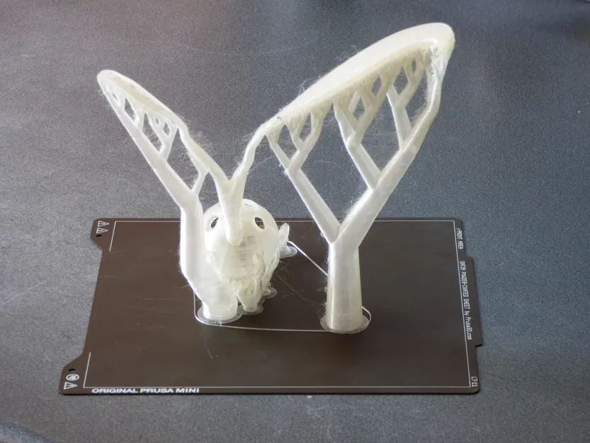 Làm nảy mầm hạt giống hạt giống và hỗ trợ - Image 4