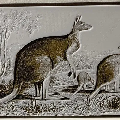 Kangaroos (Macropus Rufus) - Bản in Hueforge