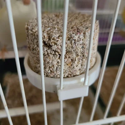 Hỗ trợ Picosel Canari