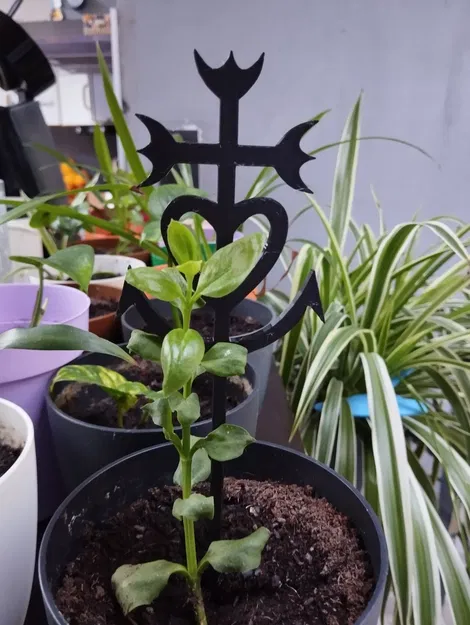 Camargue Charch Tutor - Image 1