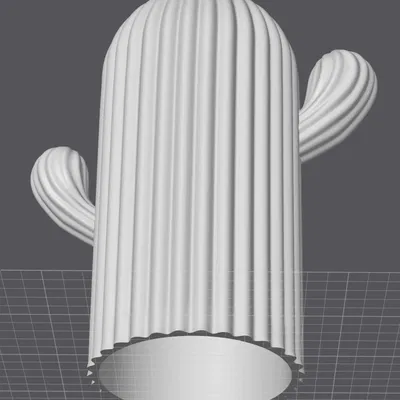 Xương rồng mỏng hơn