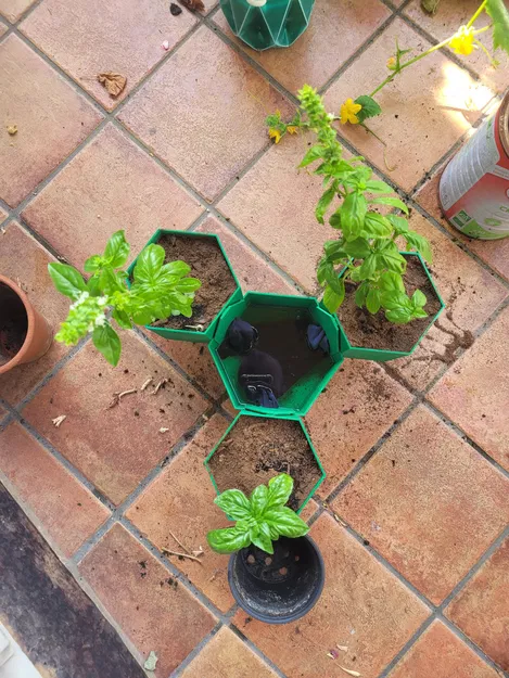 Nồi pot cho hoa, thực vật, rau - Image 5