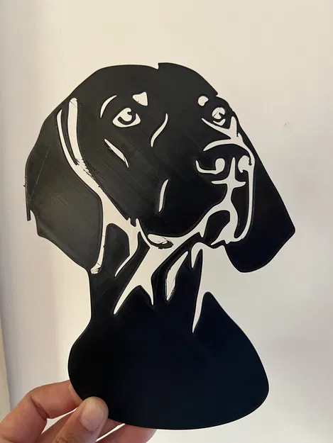 Đầu Vizsla - Image 1