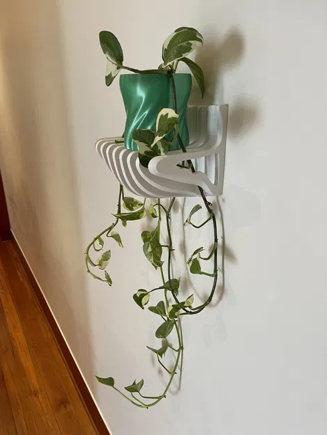 Lộn ngược kệ và nồi - Image 1