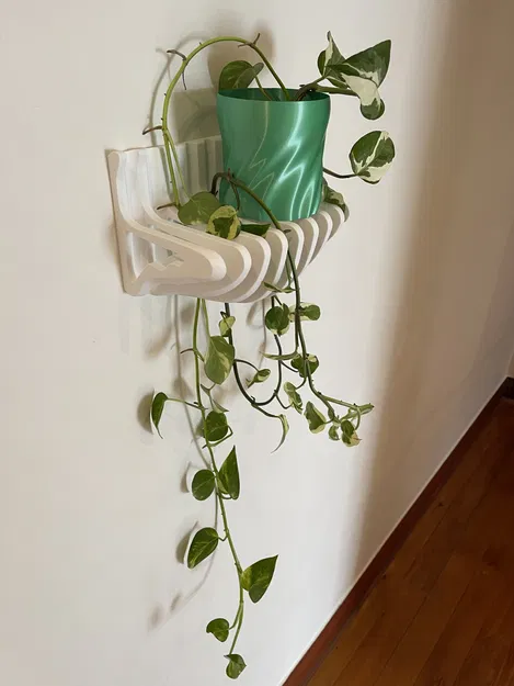 Lộn ngược kệ và nồi - Image 2