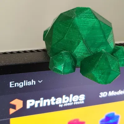 Rùa rùa thấp lặn vào các bản in!