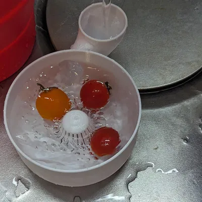 Máy giặt rau và trái cây tự động- không cần hỗ trợ và không cần lắp ráp. Kích thước nhỏ và lớn