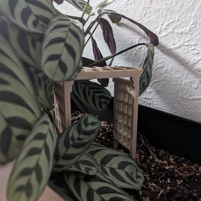 Mini Bridge Arbor