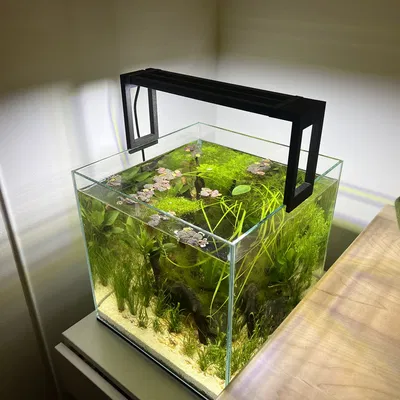 Nicrew Aquarium Light Mount