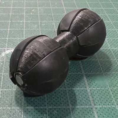 Ram loại B Double Ball
