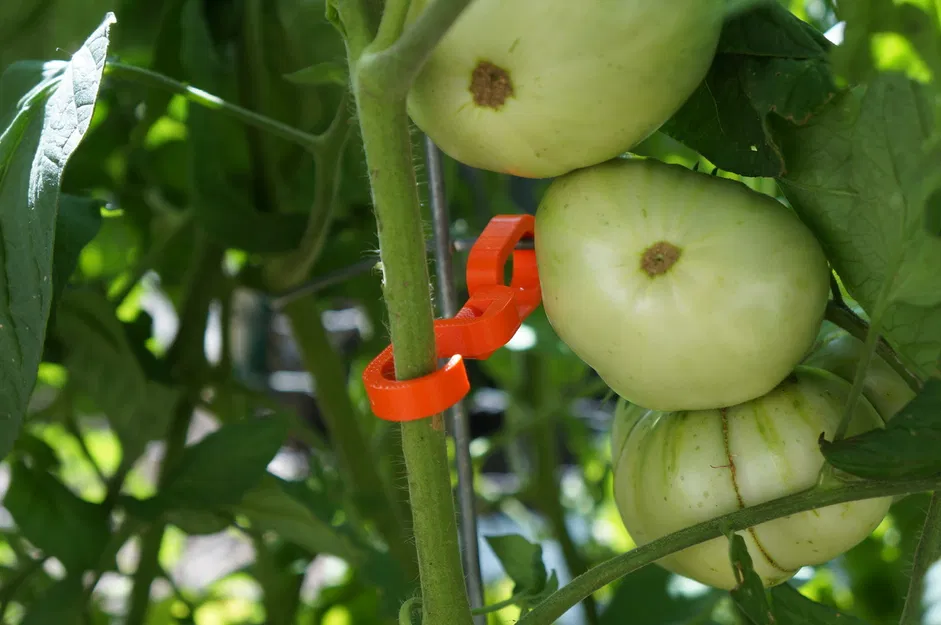 Móc đôi với khớp xoay - Image 1