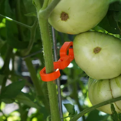 Móc đôi với khớp xoay