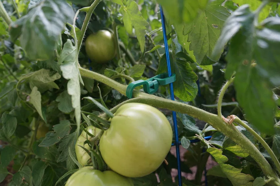 Móc đôi với khớp xoay - Image 3