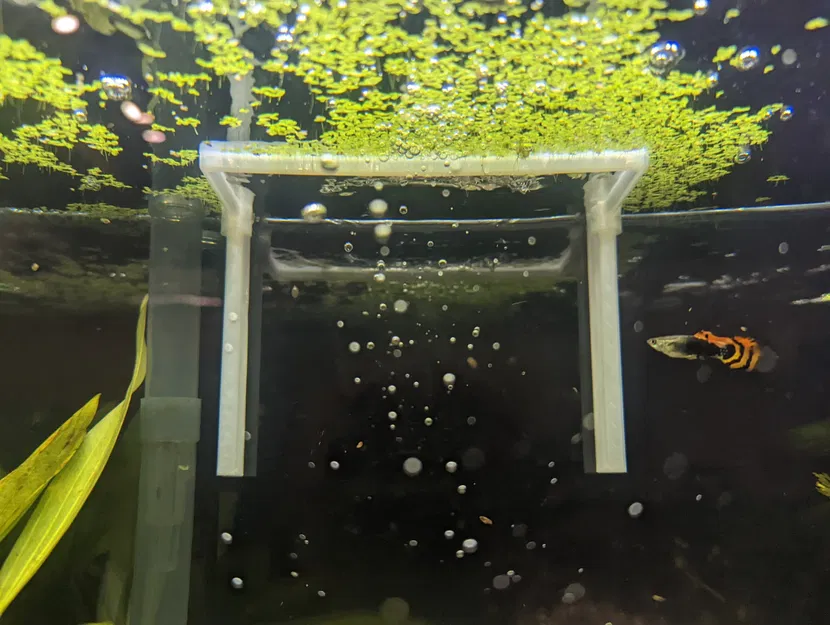 Fluval aquaclear 50 hàng rào bề mặt đầu ra - Image 2