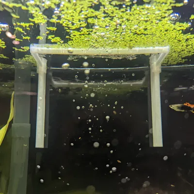 Fluval aquaclear 50 hàng rào bề mặt đầu ra