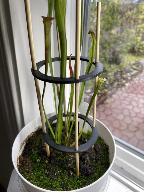 Nhẫn hỗ trợ thực vật - Image 1