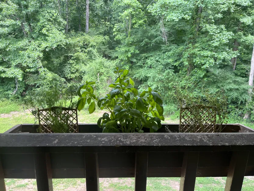 Mạng thu nhỏ để hỗ trợ thực vật - Image 3