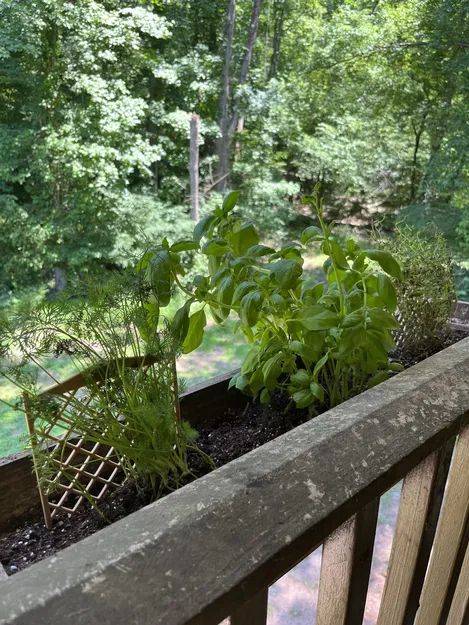 Mạng thu nhỏ để hỗ trợ thực vật - Image 4