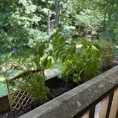 Mạng thu nhỏ để hỗ trợ thực vật