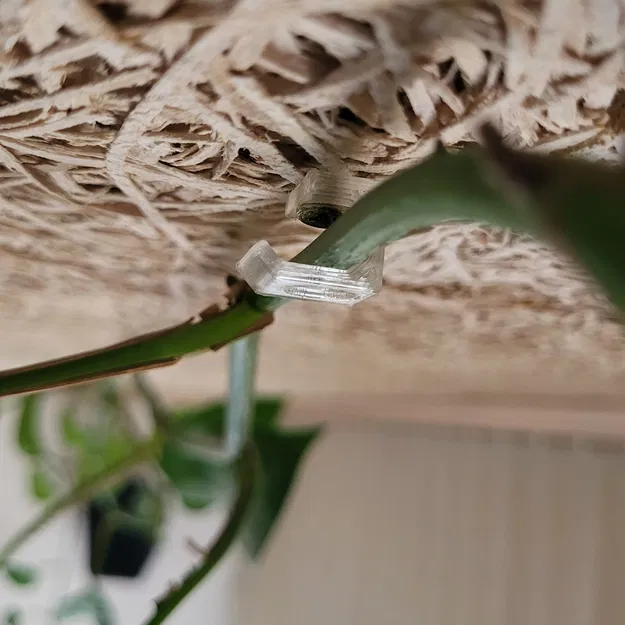 Hỗ trợ trần nhà máy leo - Image 1