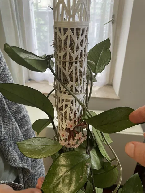 Hỗ trợ xếp hạng/leo núi mô -đun cho các chậu cây - Image 1