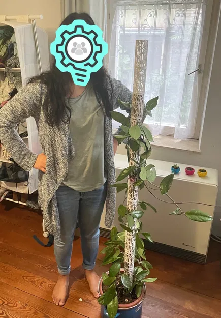 Hỗ trợ xếp hạng/leo núi mô -đun cho các chậu cây - Image 2